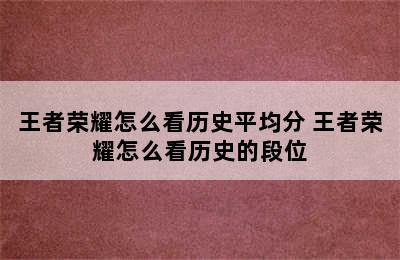 王者荣耀怎么看历史平均分 王者荣耀怎么看历史的段位